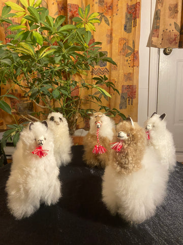 Baby Alpaca toy