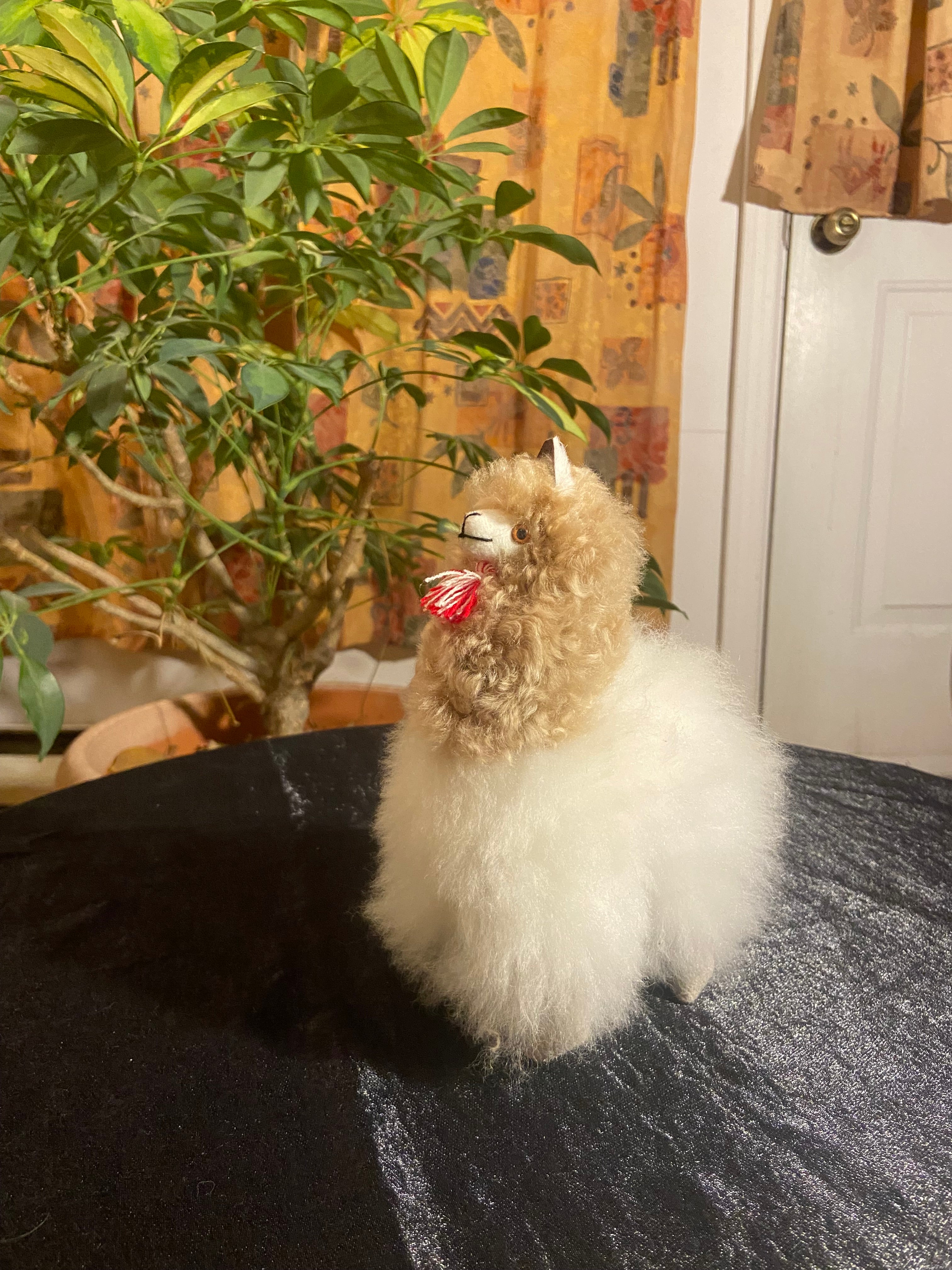 Baby Alpaca toy