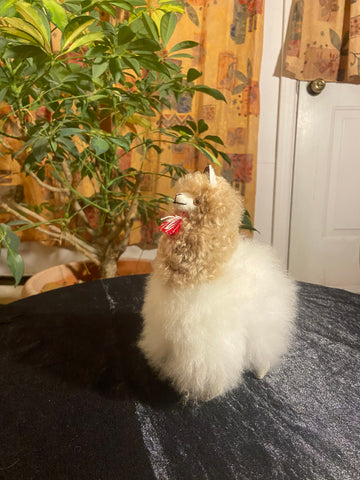 Baby Alpaca toy